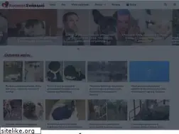 Sites similar to kochamyzwierzaki.pl