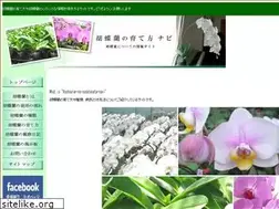Sites similar to kochoransodatekata.com