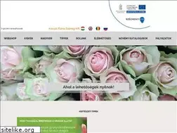 Sites similar to kocsisflorakft.hu