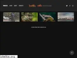 Sites similar to kodilu.com