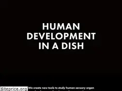 Sites similar to koehler-lab.org