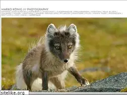 Sites similar to koenig-naturfotografie.com