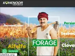 Sites similar to kohenoorint.com