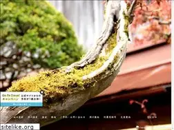 Sites similar to kohryokuen.com
