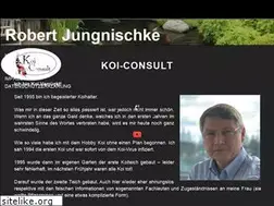 Sites similar to koi-consult.de