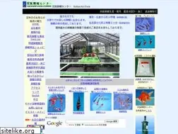 Sites similar to koibest.com