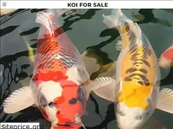 Sites similar to koiforsale.com.au