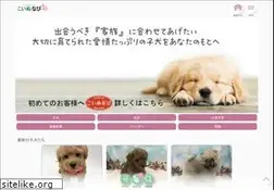 Sites similar to koinu-navi.com