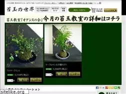 Sites similar to kokedama.com
