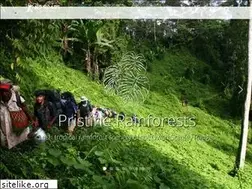 Sites similar to kokodaexpeditions.com.au