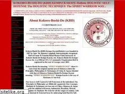 Sites similar to kokorobushido.com