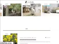 Sites similar to kokousa.jp