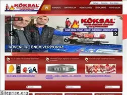 Sites similar to koksalyangin.com