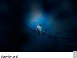 Sites similar to kolibri.agency