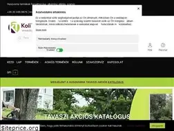 Sites similar to koliteam.hu