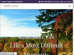 Sites similar to kolodiy-lazuta.com