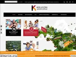 Sites similar to koluszki.pl