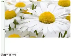 Sites similar to komplementaermethoden.de