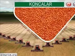 Sites similar to koncabakliyat.com
