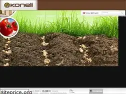 Sites similar to koneli.com.tr
