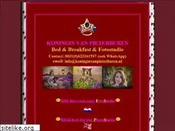Sites similar to koninginvanpieterburen.nl