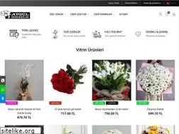 Sites similar to konyaalticicek.com
