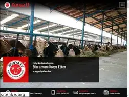 Sites similar to konyaet.com.tr