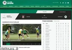 Sites similar to konyaspor.org.tr
