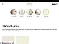 Sites similar to koparoclean.com