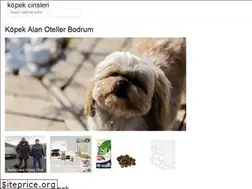 Sites similar to kopek-cinsleri.onrender.com