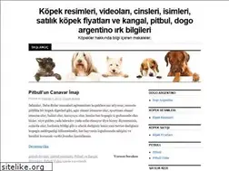 Sites similar to kopek.wordpress.com