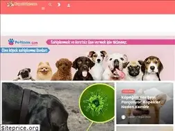 Sites similar to kopekbilgi.com
