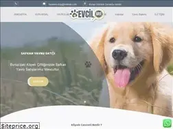 Sites similar to kopekcenneti.com