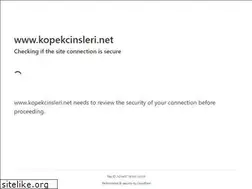 Sites similar to kopekcinsleri.net