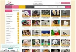 Sites similar to kopekdunyasi.com