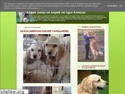 Sites similar to kopekegitimibakimi.blogspot.com