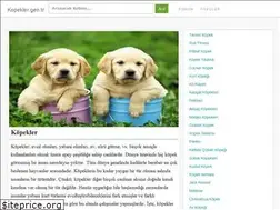Sites similar to kopekler.gen.tr