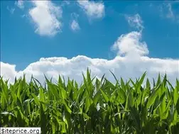 Sites similar to kopfschmerz-news.de