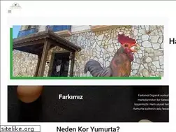 Sites similar to koryumurta.com.tr
