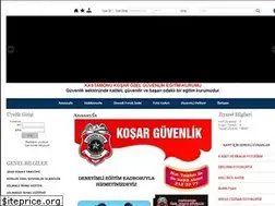 Sites similar to kosarguvenlik.com