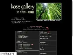 Sites similar to kosegallery.com