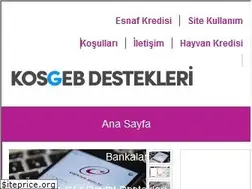 Sites similar to kosgebkredisi.com