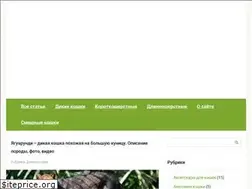 Sites similar to koshkinsait.ru