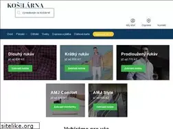 Sites similar to kosilarna.cz