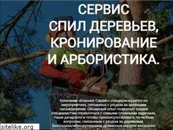 Sites similar to kosim-travu.ru