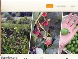 Sites similar to koszifaiskola.hu