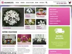 Sites similar to koszorukeszites.hu