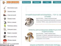 Sites similar to kotblog.ru