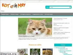 Sites similar to kotmew.ru