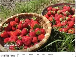 Sites similar to kotobamanabi.com